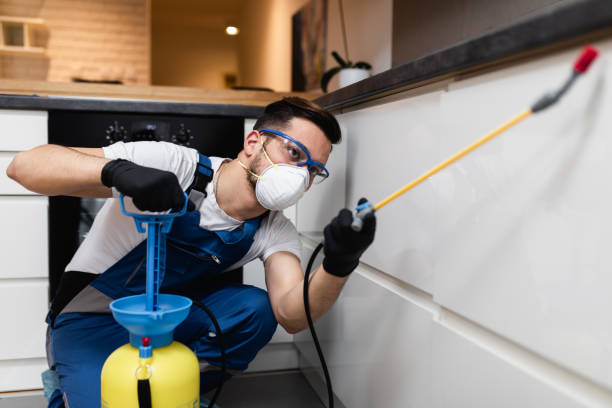 Best Pest Removal Services  in Norton Center, MA