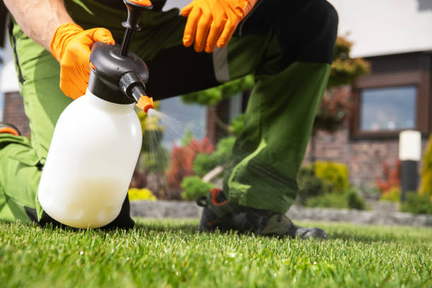Best Wildlife Control Services  in Norton Center, MA
