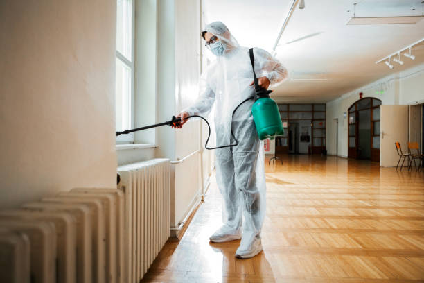 Best Affordable Pest Control Services  in Norton Center, MA